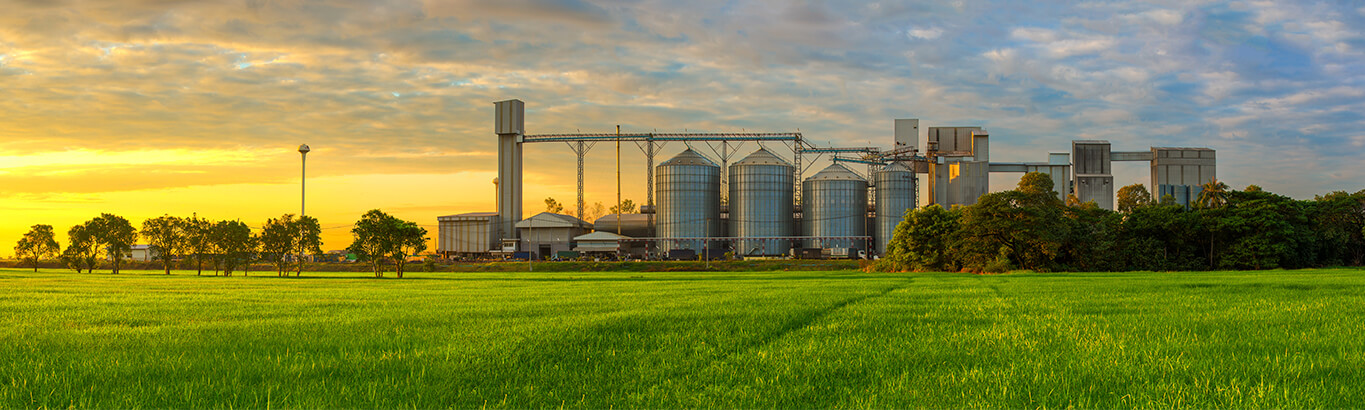 Agriculture crop farm, grain mill.
