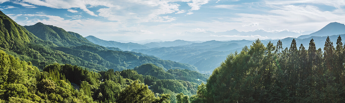 Beautiful nature scenery of a forest on a series of valley hills.